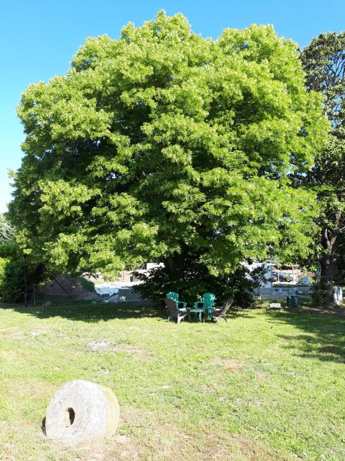 Villa Saint-Privat Pouzilhac Eksteriør bilde